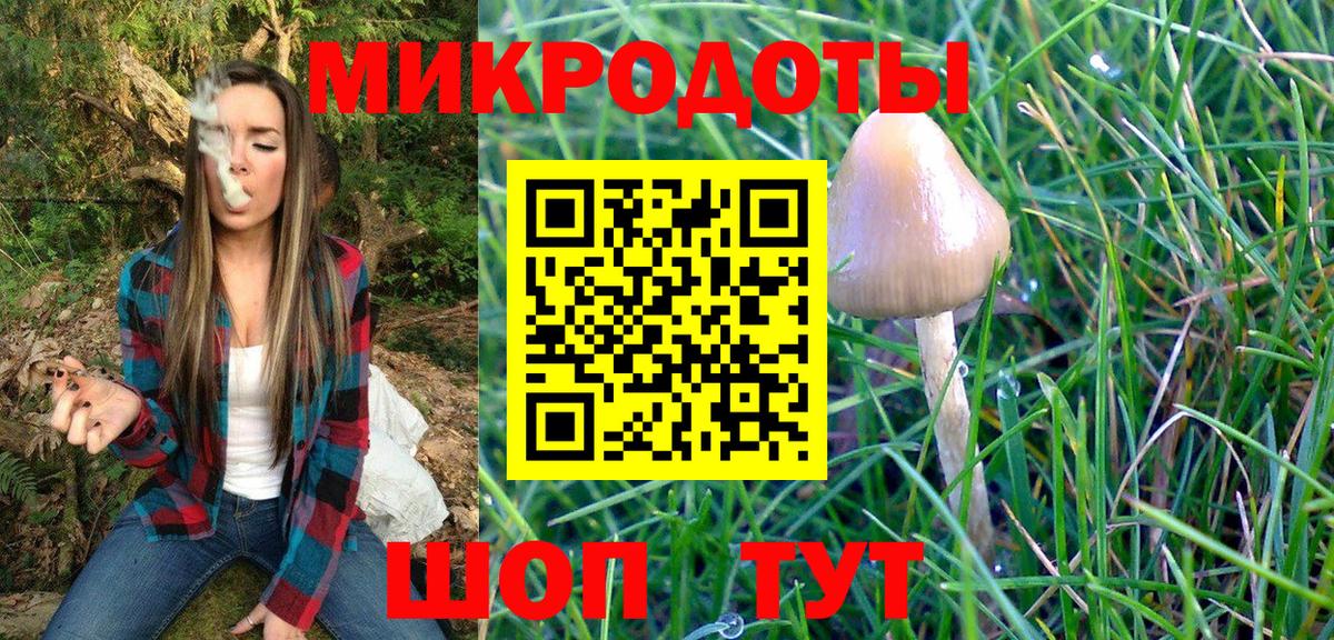 Галлюциногенные грибы Psilocybe  Псилоцибиновые грибы Psilocybe  Лобня 