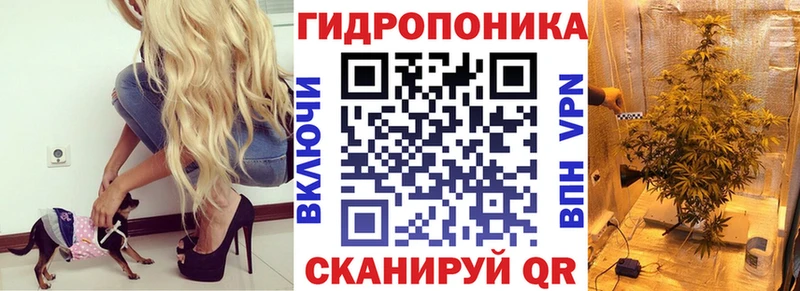 Конопля OG Kush  Лобня 